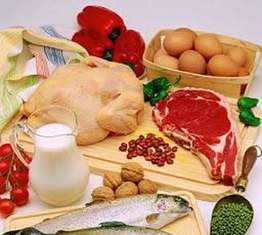 VAI TRÒ DINH DƯỠNG CỦA PROTEIN ĐỐI VỚI CƠ THỂ.