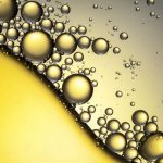 Vai trò dinh dưỡng của Lipid lipid