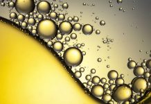 Vai trò dinh dưỡng của Lipid lipid