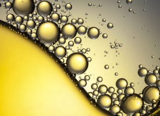 Vai trò dinh dưỡng của Lipid lipid