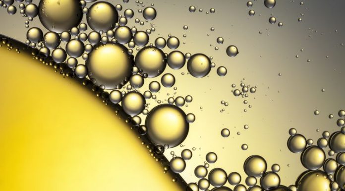 Vai trò dinh dưỡng của Lipid lipid