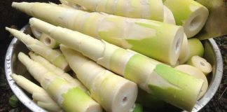 Rối loạn mật độ xương ở bệnh nhân đái tháo đường