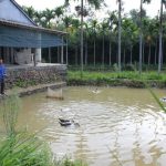 Lợi ích phát triển mô hình VAC ở hộ gia đình mô hình vac