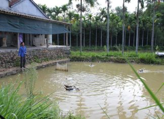 Lợi ích phát triển mô hình VAC ở hộ gia đình mô hình vac