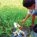 Phòng ngừa ngộ độc thuốc bảo vệ thực vật