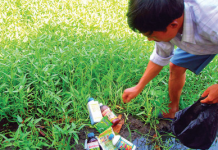 Phòng ngừa ngộ độc thuốc bảo vệ thực vật