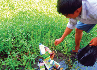 Nguyên nhân gây ngón tay dùi trống và so sánh dịch tiết với dịch thấm phổi