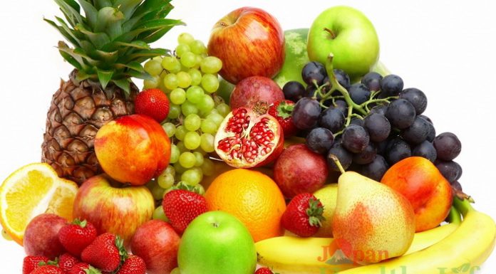 NGUỒN CUNG CẤP CÁC CHẤT DINH DƯỠNG SINH NĂNG LƯỢNG.