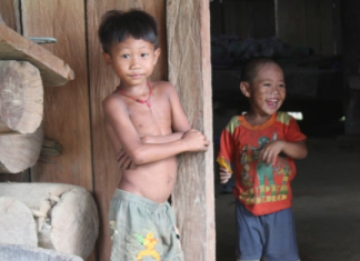 Đánh giá tình trạng dinh dưỡng của trẻ em