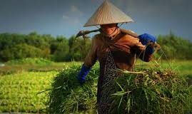 Cơ chế bệnh sinh và giải phẫu bệnh của bệnh phổi tắc nghẽn mạn tính