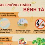 NGUYÊN NHÂN VÀ SỰ LIÊN QUAN VỀ DI TRUYỀN TRONG BỆNH ALZHEIMER