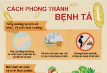Dịch tễ học và phòng chống bệnh tả