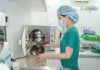 Quy trình khử khuẩn dụng cụ trong chăm sóc sức khỏe sinh sản