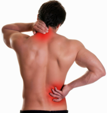 Thần kinh giữa cánh tay về giải phẫu đường đi quan trọng