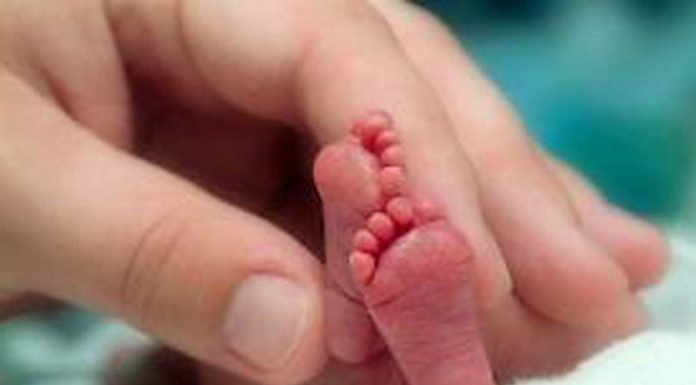 Sự thay đổi huyết học lúc mang thai và các triệu chứng thiếu máu