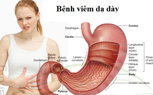 Sinh lý bệnh hệ tiêu hóa.