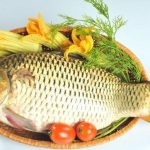 Giá trị dinh dưỡng của cá cá