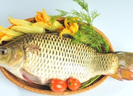 Giá trị dinh dưỡng của cá cá