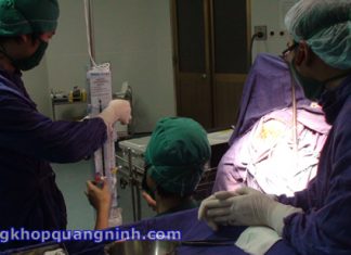 Lịch sử phẫu thuật bụng, phẫu thuật thần kinh và phẫu thuật lồng ngực