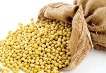 Giá trị dinh dưỡng của đậu đỗ đậu