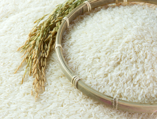 Nhu cầu dinh dưỡng của người bệnh