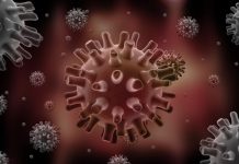 loét sinh dục và các dấu hiệu nhận biết loét sinh dục