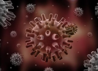 loét sinh dục và các dấu hiệu nhận biết loét sinh dục