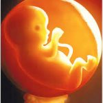 Sinh lý các phần phụ đủ tháng_những điều cần biết