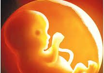 Sinh lý các phần phụ đủ tháng_những điều cần biết