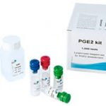 Thái độ xử trí tại các tuyến của thai chết trong tử cung