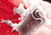 Các bài thuốc hồi dương cứu nghịch trong y học cổ truyền