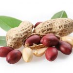 Các loại hạt có dầu lạc