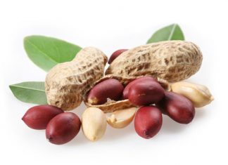 Các loại hạt có dầu lạc