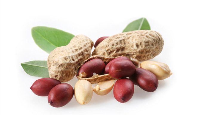 Các loại hạt có dầu lạc