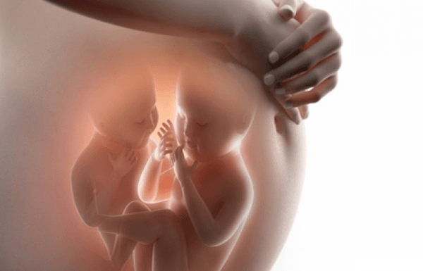 Chức năng sinh lý của nước ối và các nguyên nhân gây đa ối