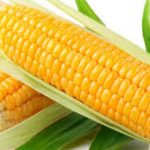 Giá trị dinh dưỡng của ngô ngô