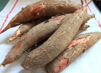 Ngộ độc sắn sắn
