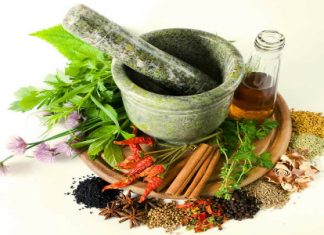 Đại Cương Về Dược Liệu