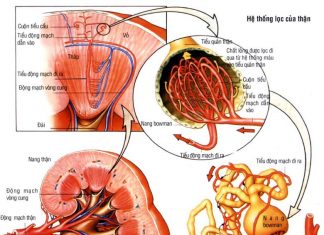 Một số biểu hiện lâm sàng của suy thận mạn cần biết suy thận mạn