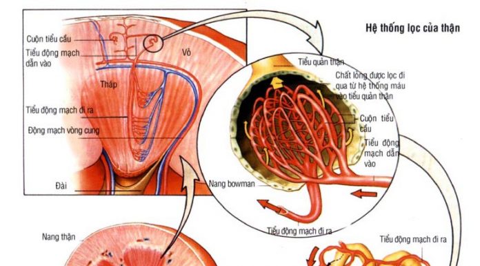 Một số biểu hiện lâm sàng của suy thận mạn cần biết suy thận mạn