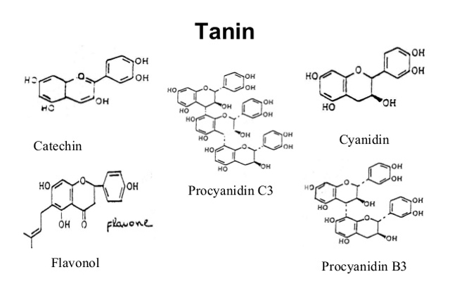 Tanin là những hợp chất polyphenol có trong thực vật, có vị chát