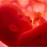 Sự thích ứng của trẻ sơ sinh sau đẻ_những điều cần biết