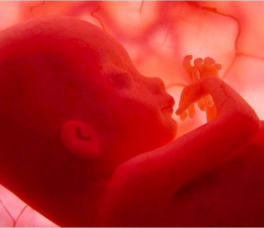 Sự thích ứng của trẻ sơ sinh sau đẻ_những điều cần biết