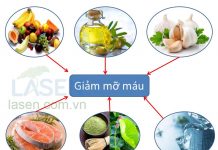 Nguyên tắc điều trị tăng lipoprotein. Thuốc ảnh hưởng đến hấp thu và thải trừ lipid