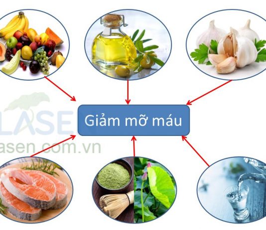 Nguyên tắc điều trị tăng lipoprotein. Thuốc ảnh hưởng đến hấp thu và thải trừ lipid
