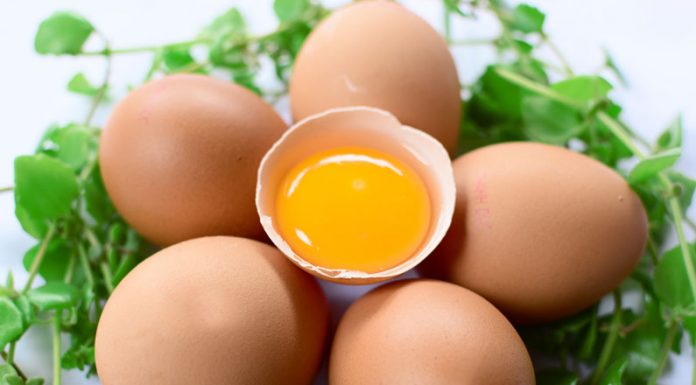 Giá trị dinh dưỡng của trứng và cách bảo quản trứng