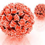 Các bài thuốc thanh hư nhiệt trong y học cổ truyền