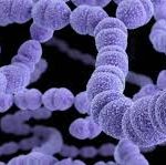 Một số vấn đề cần biết về viêm âm đạo.