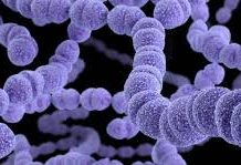 Một số vấn đề cần biết về viêm âm đạo.