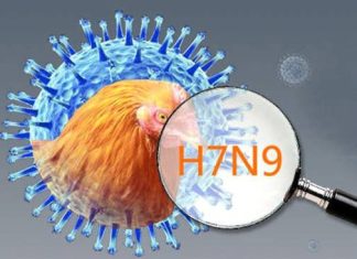 NGUỒN LÂY NHIỄM VÀ MỨC ĐỘ CẢNH BÁO AN TOÀN TỪ THỰC PHẨM ĐỀ PHÒNG CÚM